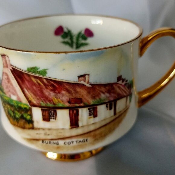 SCOTLAND'S BURNS COTTAGE Tea Cup & Saucer, Scottish Thistle, England, 1950s - Picture 5 of 5
